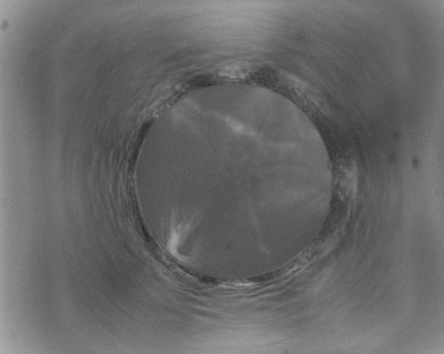 X0000070250707200606232008