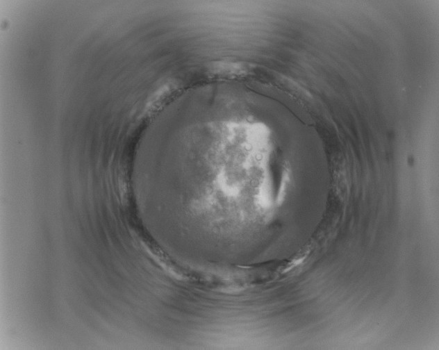 X0000070250708200606232008