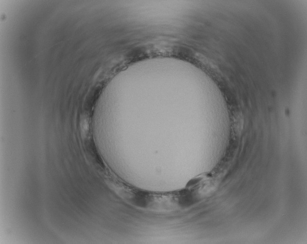 X0000070250709200606232008