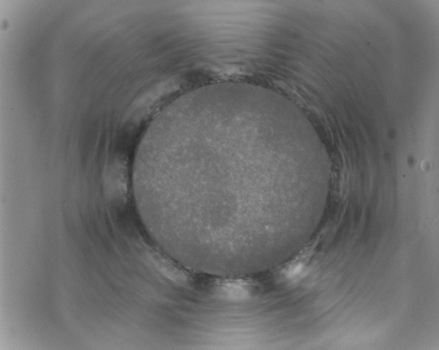 X0000070250710200606232008