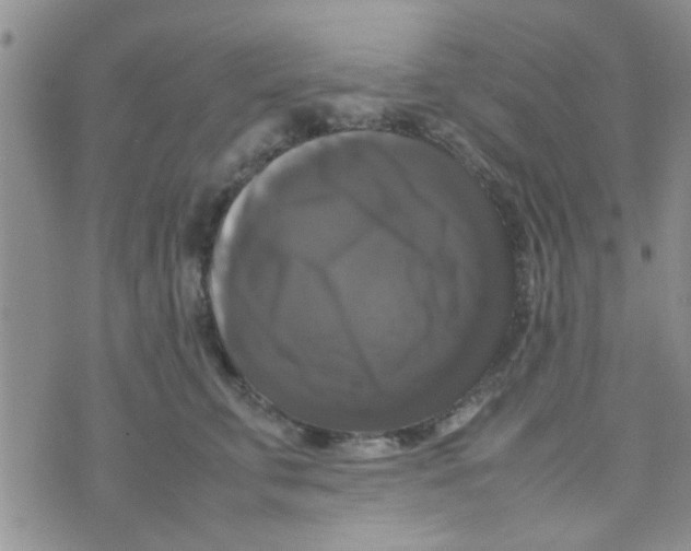 X0000070250711200606232008