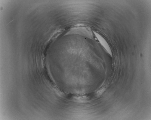 X0000070250712200606232008