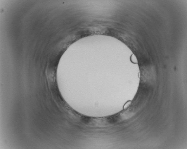 X0000070250713200606232008