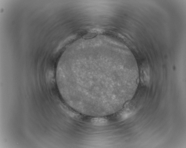 X0000070250714200606232008