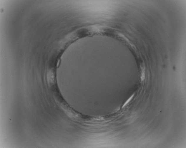 X0000070250715200606232008