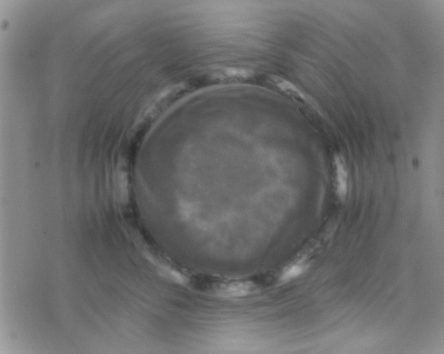 X0000070250716200606232008