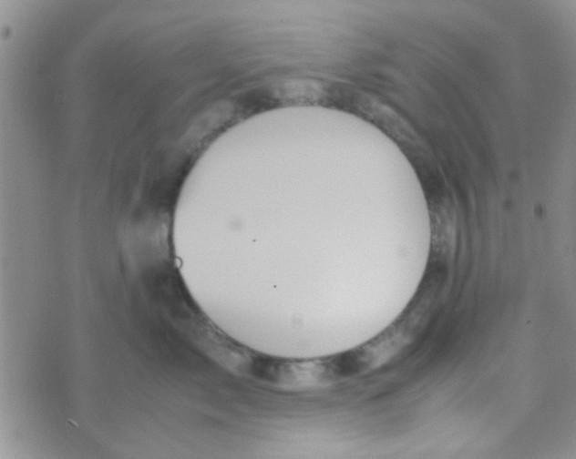 X0000070250717200606232008