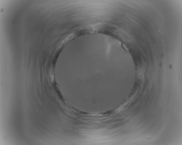 X0000070250719200606232008