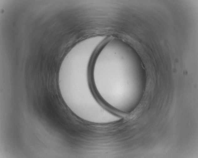 X0000070250720200606232008