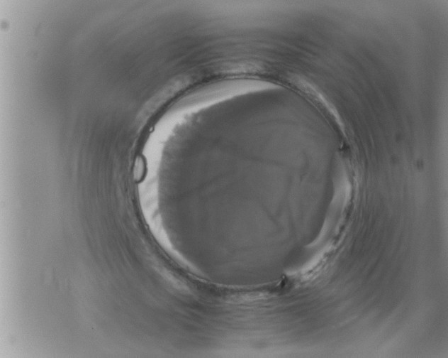 X0000070250721200606232007