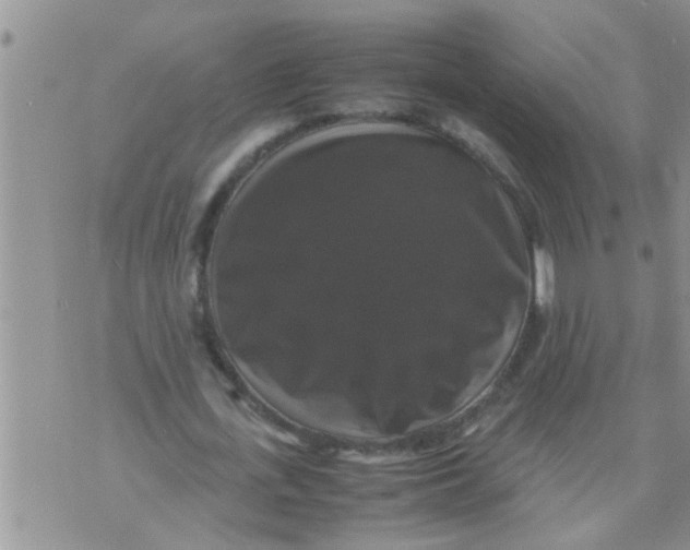 X0000070250723200606232007