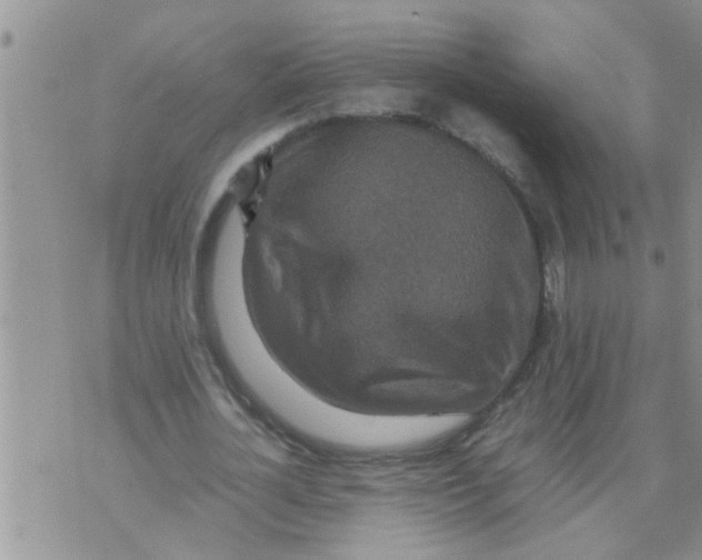 X0000070250724200606232007