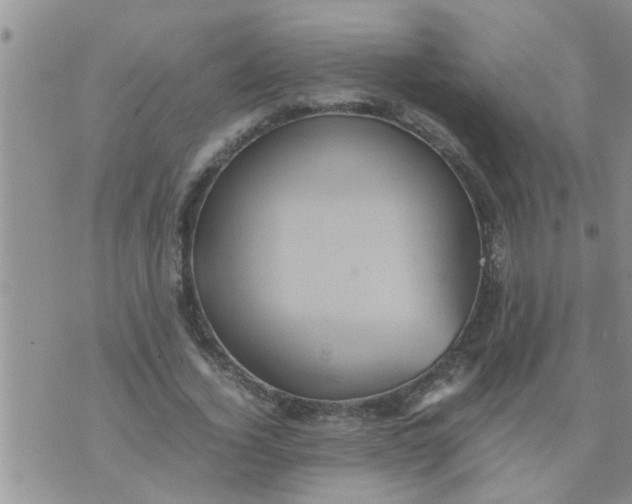 X0000070250732200606232007