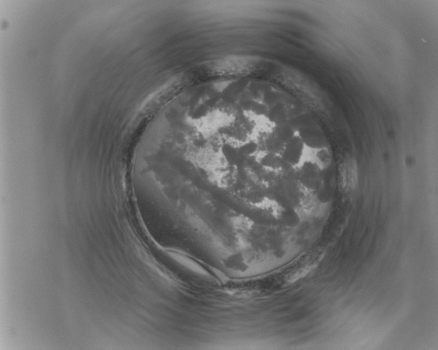 X0000070250733200606232007