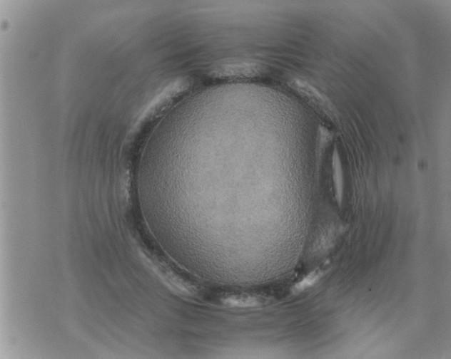 X0000070250735200606232007