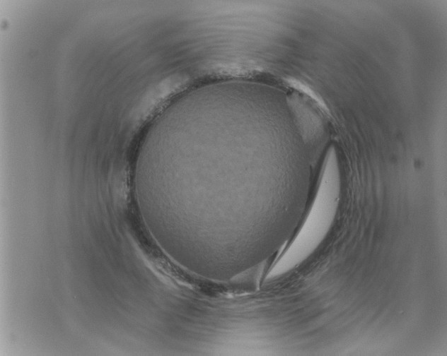 X0000070250736200606232007