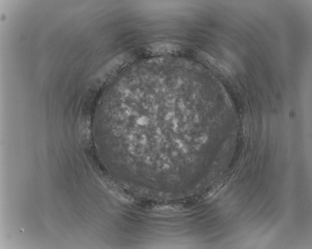 X0000070250737200606232007