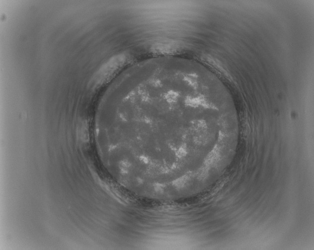 X0000070250738200606232007