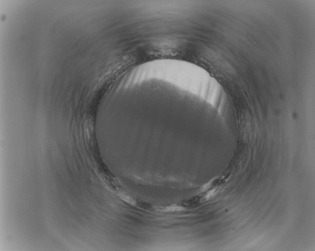 X0000070250747200606232007