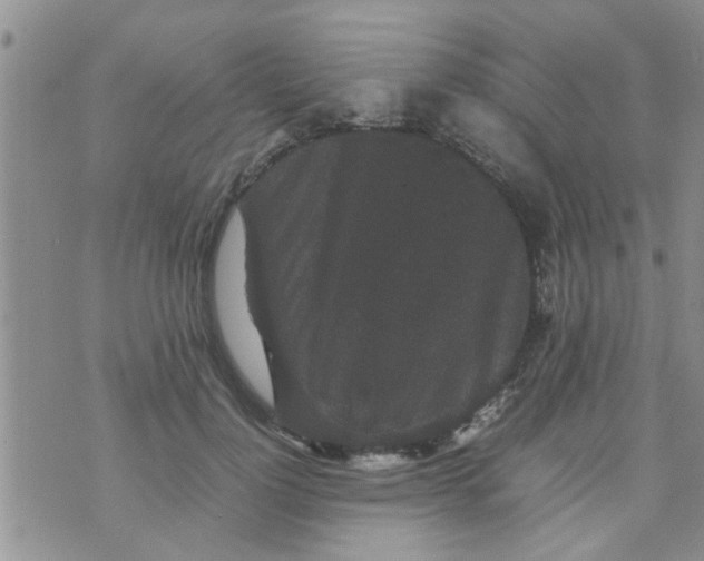 X0000070250748200606232007