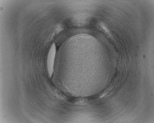 X0000070250750200606232007