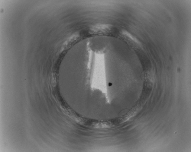 X0000070250751200606232007