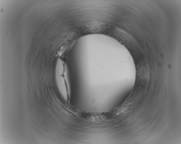 X0000070250752200606232007