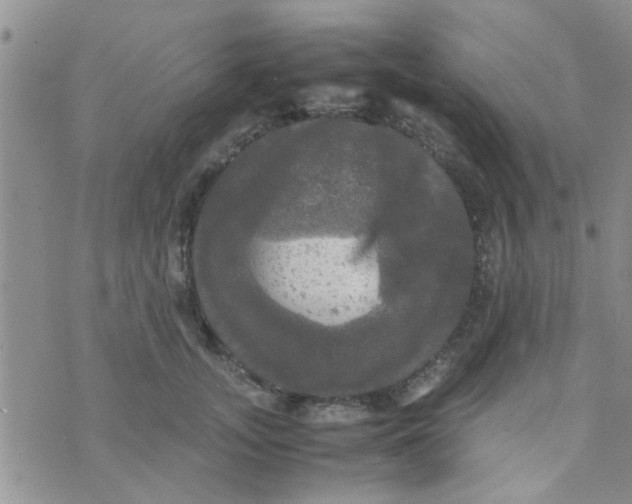 X0000070250755200606232007