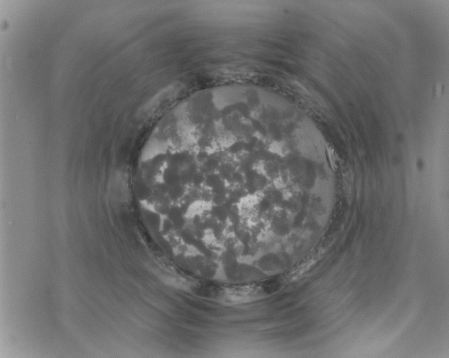 X0000070250757200606232007