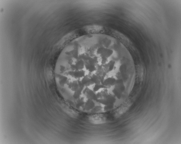 X0000070250761200606232007