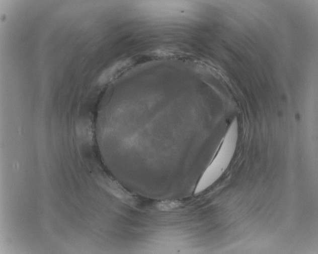 X0000070250762200606232007