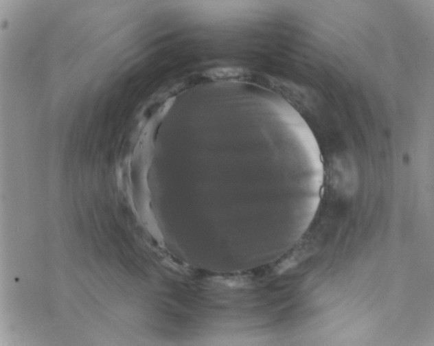 X0000070250763200606232007