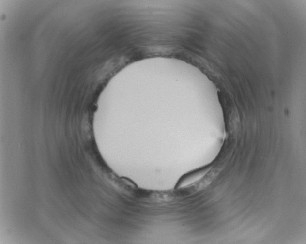 X0000070250764200606232007