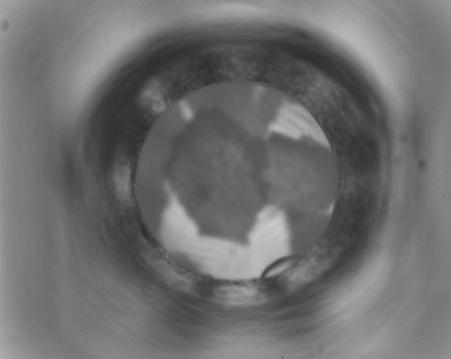 X0000070250765200606232008