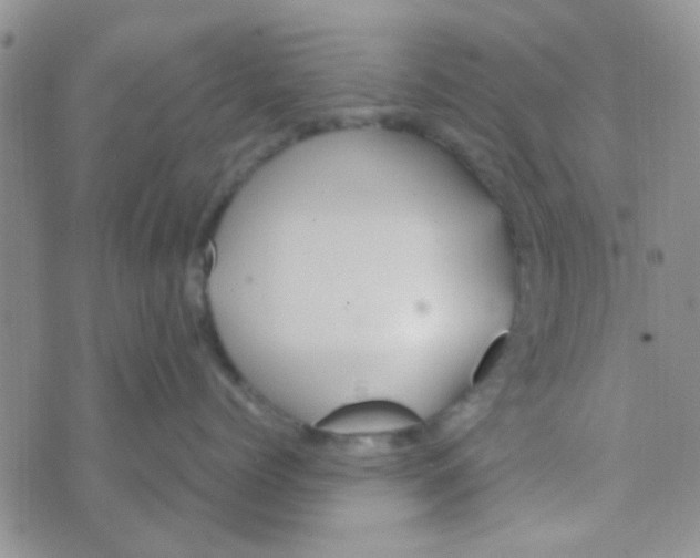 X0000070250768200606232008