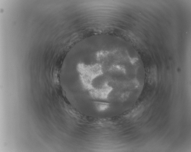 X0000070250770200606232007