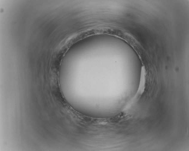 X0000070250773200606232007