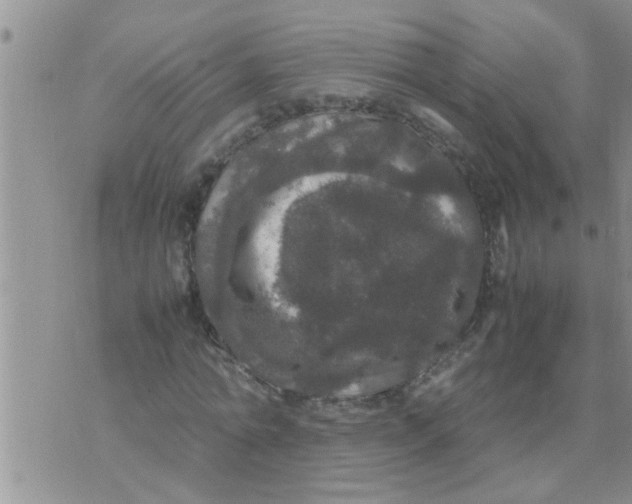 X0000070250774200606232007