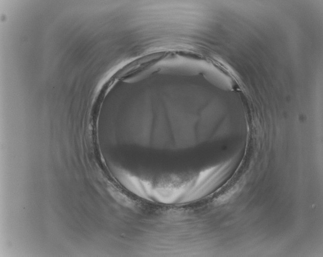 X0000070250779200606232007