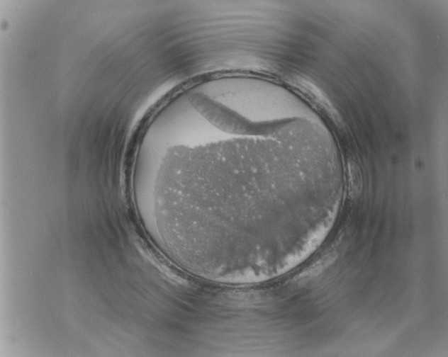 X0000070250780200606232007