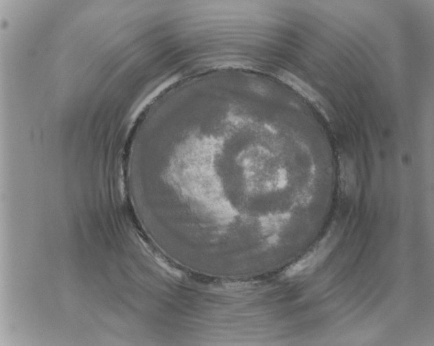 X0000070250782200606232007