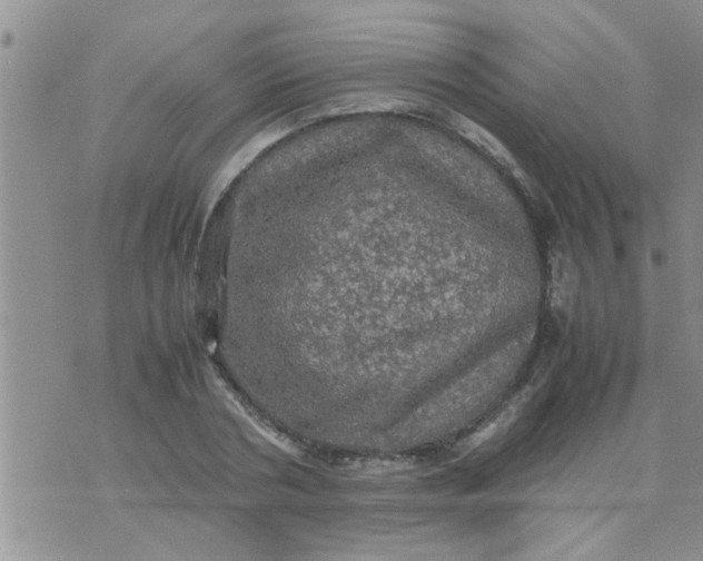 X0000070250786200606232006