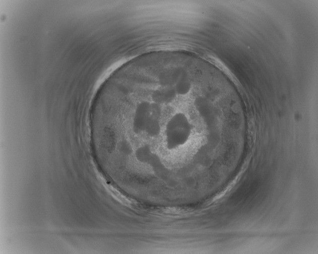 X0000070250787200606232006