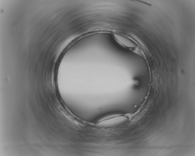 X0000070250788200606232006