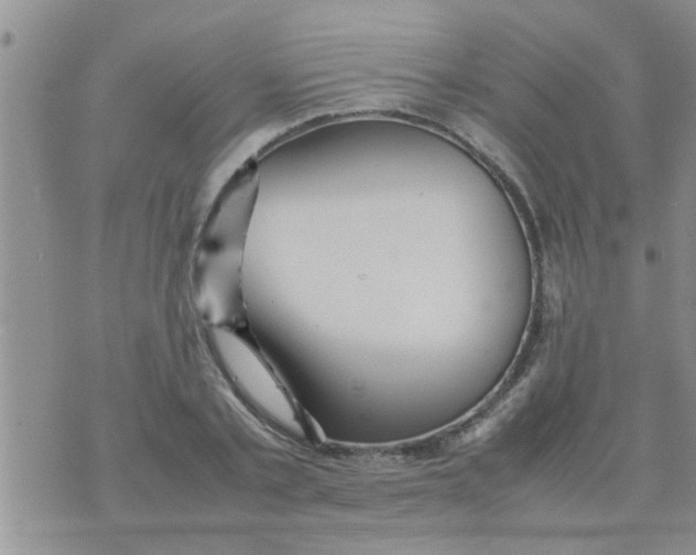 X0000070250789200606232006