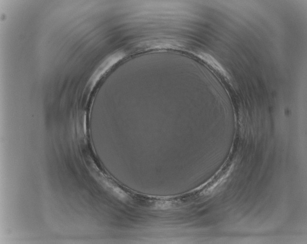 X0000070250790200606232006