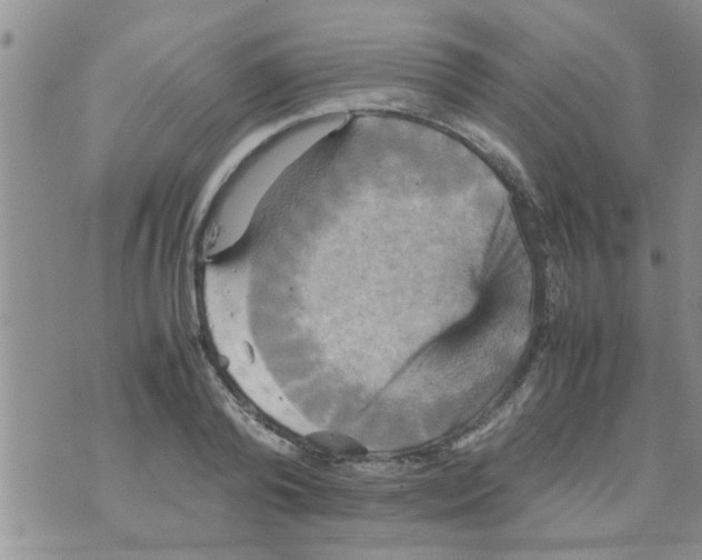 X0000070250792200606232006