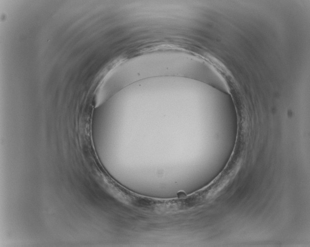 X0000070250793200606232006