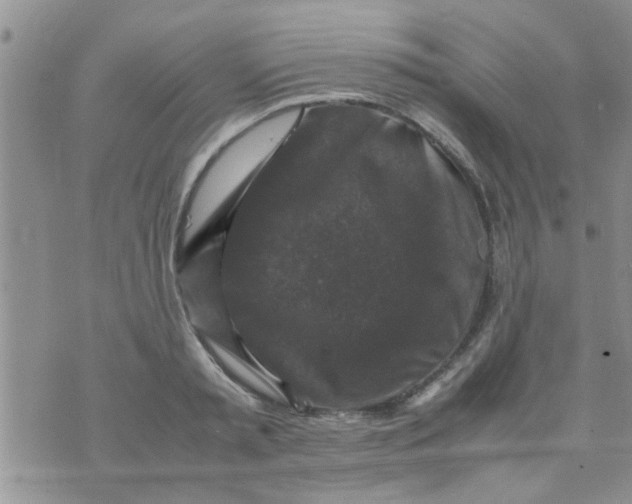 X0000070250797200606232006