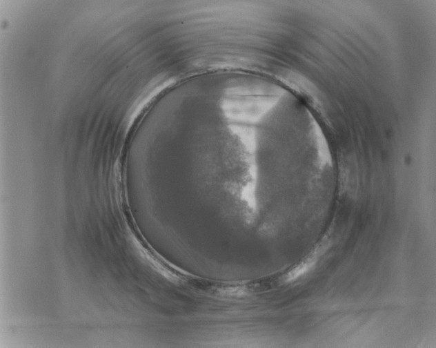 X0000070250798200606232006